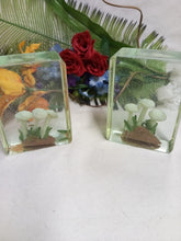 Load image into Gallery viewer, Glow in the Dark Polymer Clay Mushrooms Shelf Sitter
